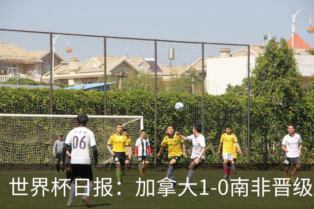 世界杯日报：加拿大1-0南非晋级创历史 韩国主帅洪明甫下课